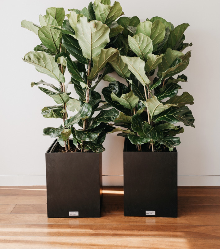 КАШПО MAXPLANTER SIDNEY (СИДНЕЙ) АРТ. SD-1600