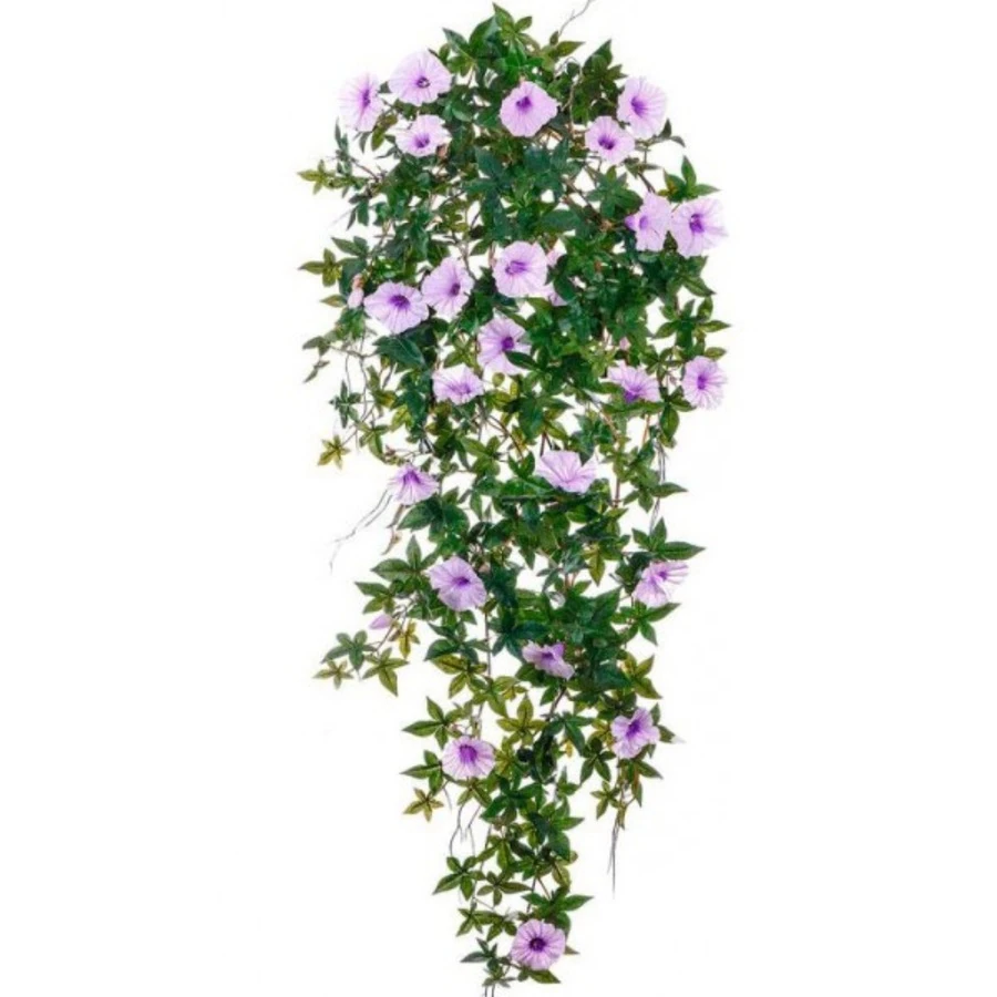 ВЬЮН (ИПОМЕЯ) НЕЖНО-СИРЕНЕВЫЙ