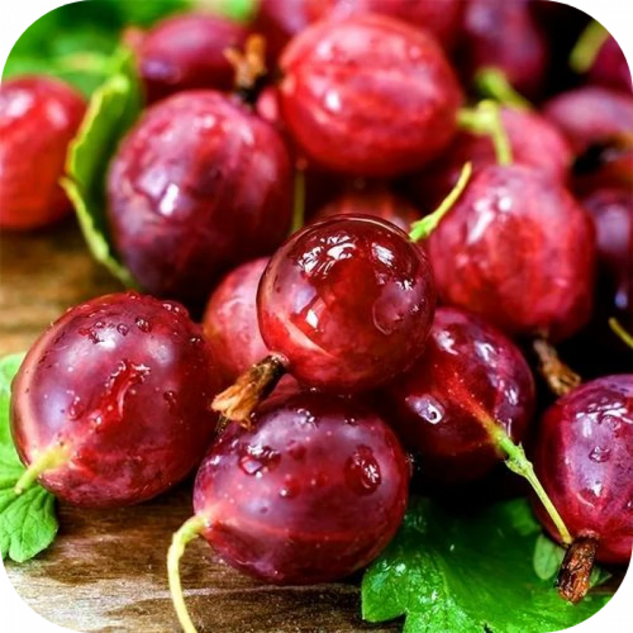 Крыжовник Хиномаки красный