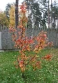 Photo thumb w180