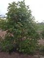 Photo thumb w180