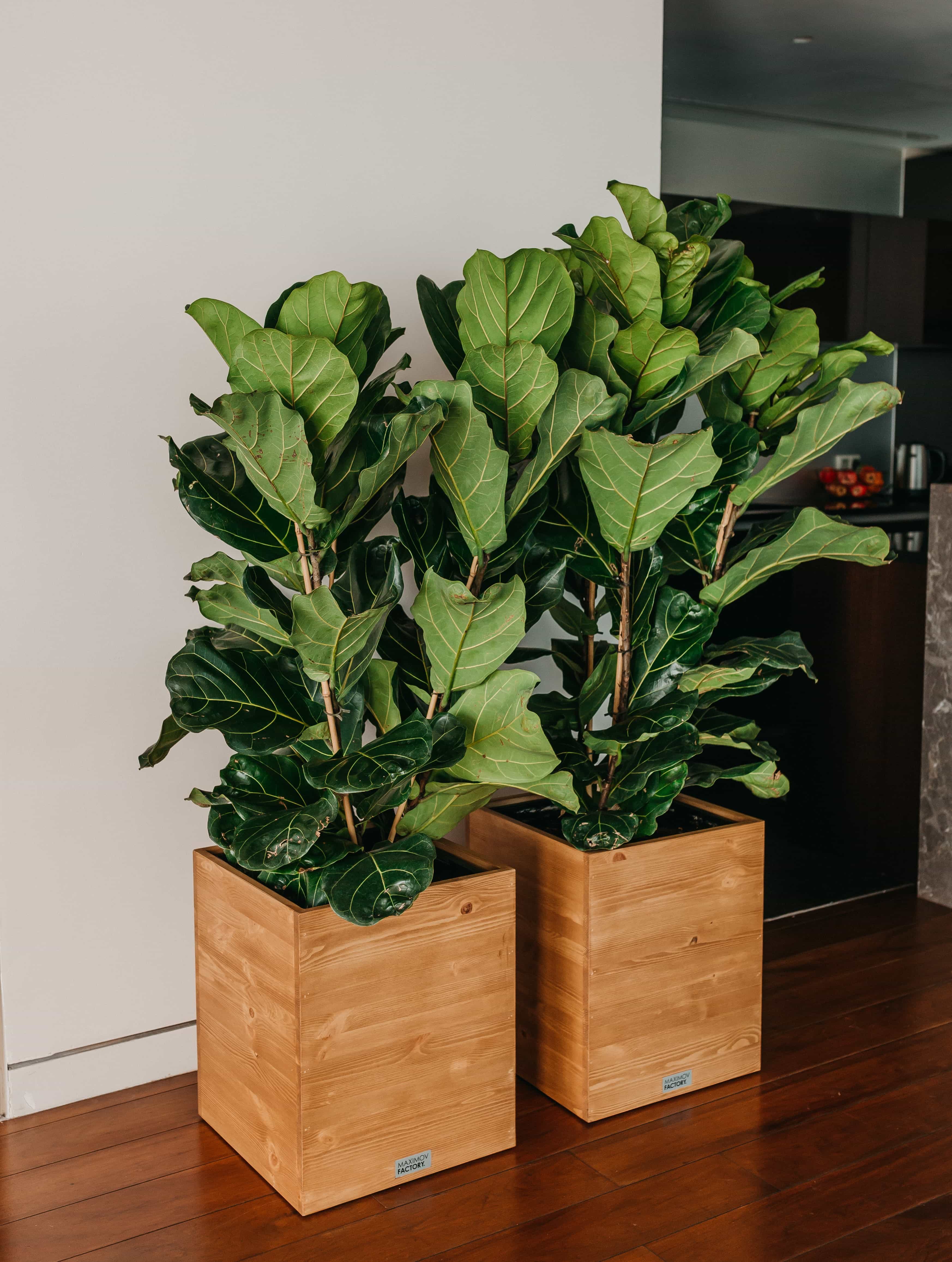 КАШПО MAXPLANTER SIDNEY (СИДНЕЙ) АРТ. SD-1500
