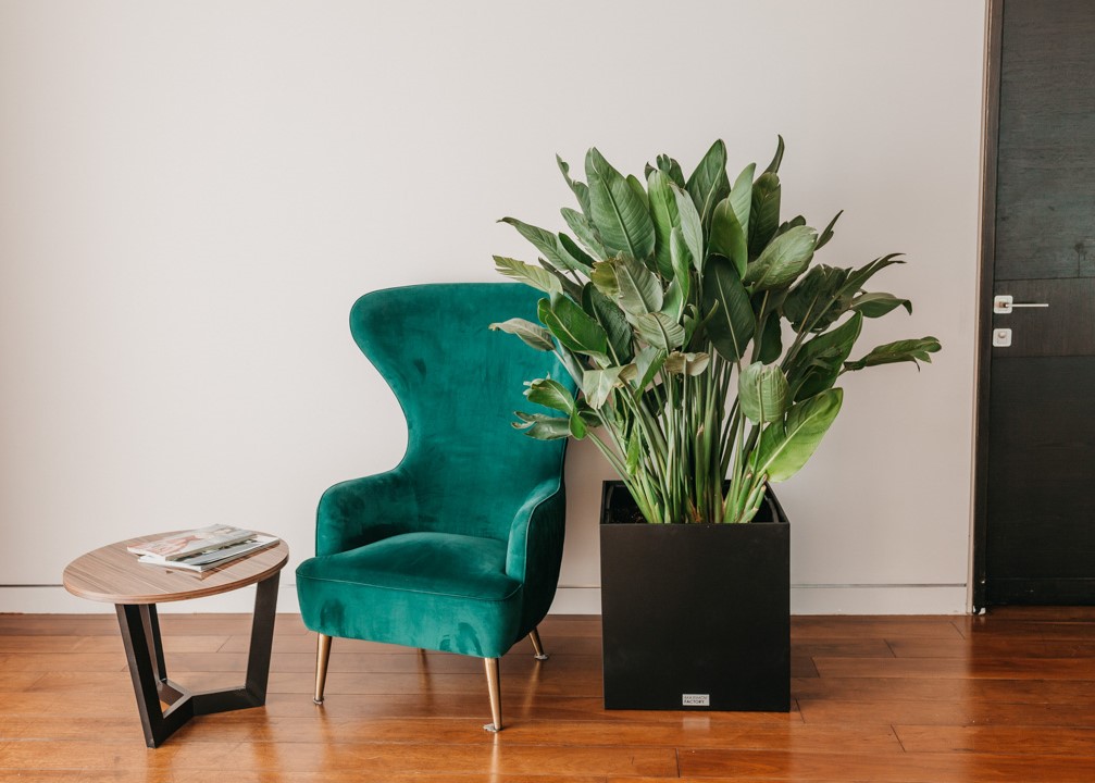КАШПО MAXPLANTER SIDNEY (СИДНЕЙ) АРТ. SD-1600
